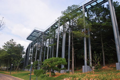 常州本土超大型企業(yè)拓展訓(xùn)練首選 露營谷基地與其專業(yè)服務(wù)解析